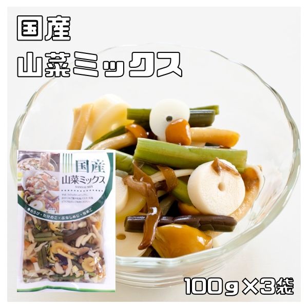 北海道物産興社　山菜ミックス水煮 100ｇ×3袋 国産（丸中食品）　21999　1セット（3袋）（直送品）