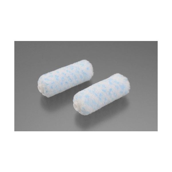 大塚 ミニローラー スカイ 6ミリ(2本入)2MS―SKY6 2インチ 160266 0602 1セット(10本:2本×5パック)（直送品）