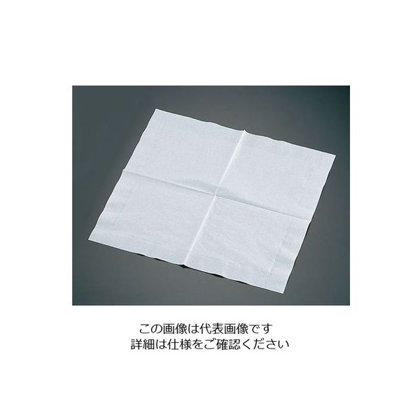 遠藤商事 ナプキン 白無地 4ッ折 2ply 33×33cm(2，000枚入) 62-6651-84 1ケース(2000枚)（直送品）