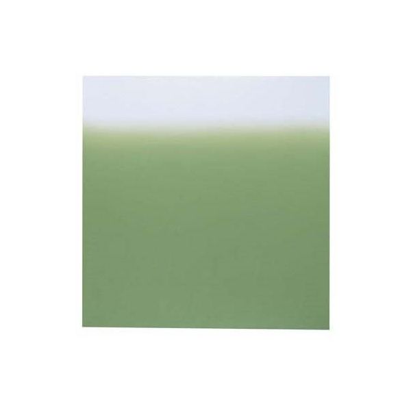 遠藤商事 風呂敷ナイロンデシン 24巾(10枚入) ボカシ 利久 62-6655-67 1ケース(10枚)（直送品）