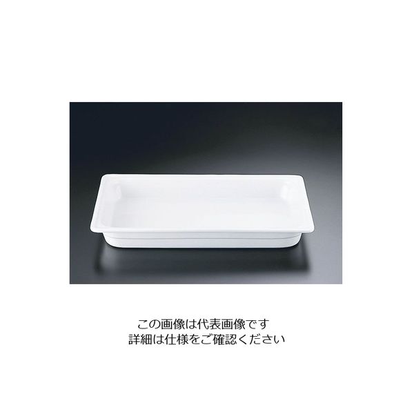 遠藤商事 メイフェア ECガストロノームディッシュ 1/1 65mm EPA208 62-6658-15 1個（直送品）