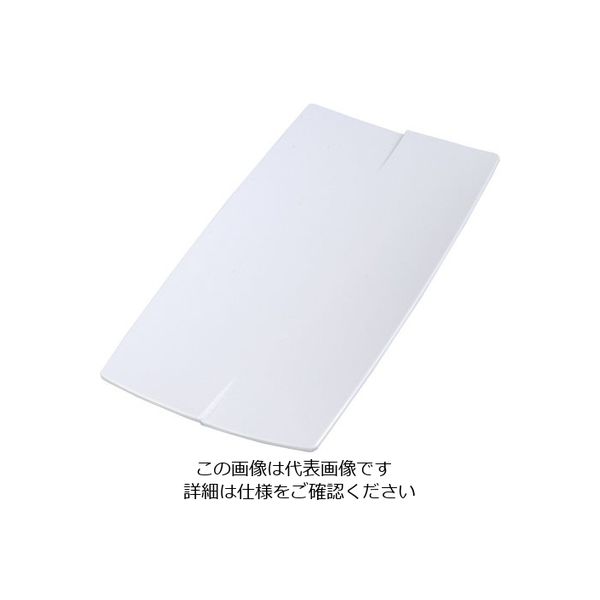 カーライル レイヴ レクタングルプレート S