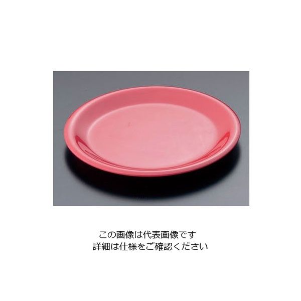 カーライル シーラス ディナープレート 23cm