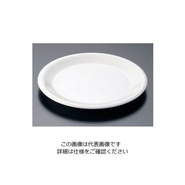 カーライルフードサービスプロダクツ カーライル シーラス ディナープレート 23cm 33004 ボーン 62-6668-22 1個（直送品）