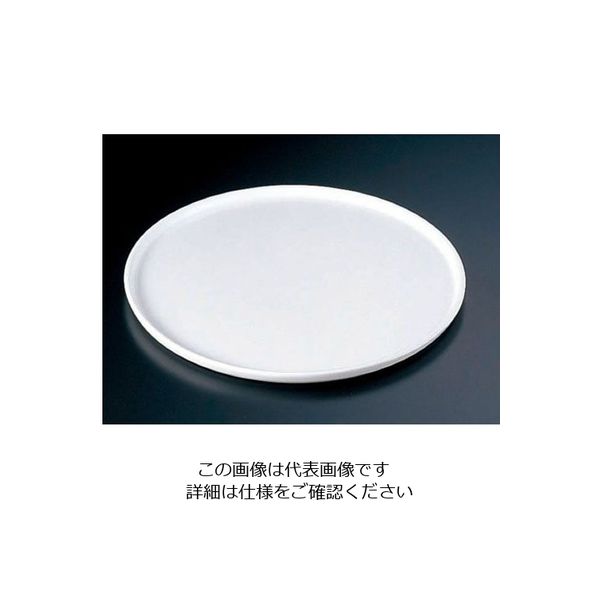 ミヤザキ食器 グランデビアンカ フラットプレート GB2051 (M) 62-6673-93 1枚（直送品）