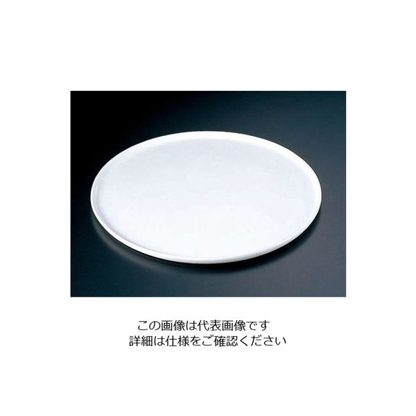 ミヤザキ食器 グランデビアンカ フラットプレート GB2056 (L) 62-6673-94 1枚（直送品）