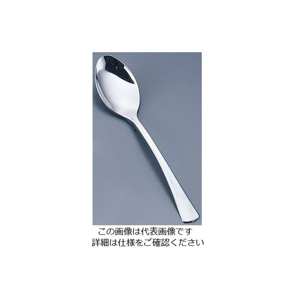 ティー・ティー・シー プラシルバー ハード デザートスプーン Dー001(20本入) 62-6679-32 1ケース(20本)（直送品）