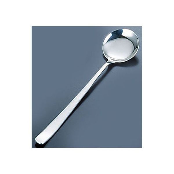 遠藤商事 ケアブイヨンスプーン 62-6724-38 1本（直送品）