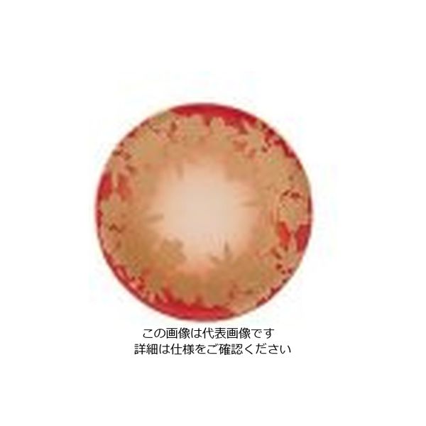 若泉漆器 寿司皿 朱春秋 1ー504ー10 62-6797-78 1枚（直送品）