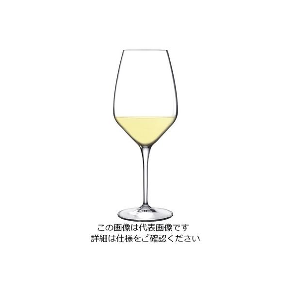 Bormioli Luigi アトリエ ホワイトワイン(6ヶイ) 10648/07 1ケース(6個) 62-6809-34（直送品）