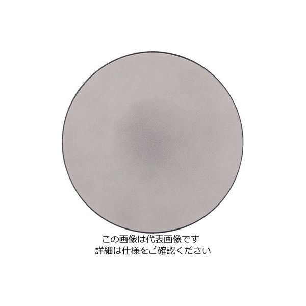 Revol エキノクス プレゼーションプレート ペッパー 649501 1枚 62-6821-39（直送品）