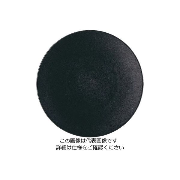 Revol エキノクス プレゼーションプレート キャストアイアン 649502 1枚 62-6821-40（直送品）