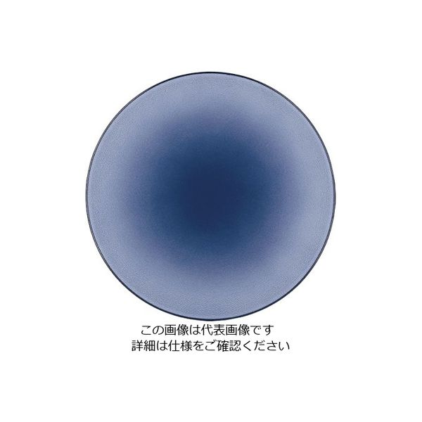 Revol エキノクス プレゼーションプレート シーラス・ブルー 649503 1枚 62-6821-41（直送品）