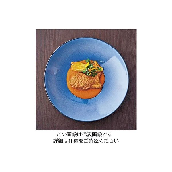 Revol エキノクス クーププレート 24cm シーラス・ブルー 649506 1枚 62-6821-44（直送品）