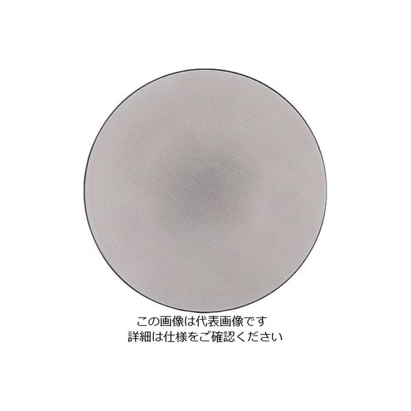 REVOL エキノクス ディナープレート 28cm_2