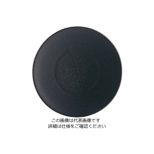 Revol エキノクス デザートプレート 21.5cm キャストアイアン 649495 1枚 62-6821-52（直送品）