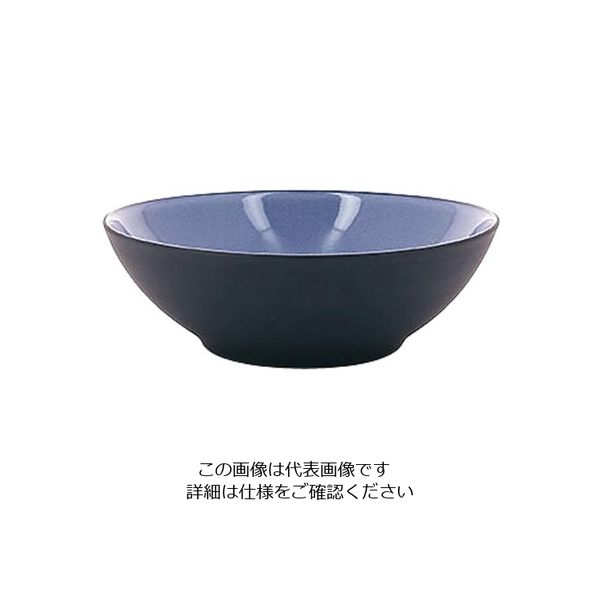 Revol エキノクス クーププレート 19cm シーラス・ブルー 649579 1枚 62-6821-62（直送品）