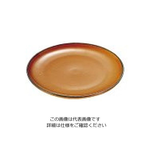 遠藤商事 マトファ陶磁器 丸皿 φ240mm 10062 1個 62-6824-19（直送品）