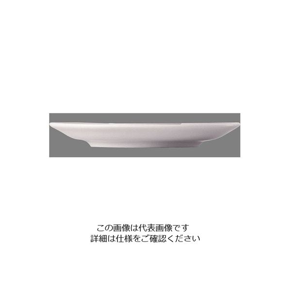 ローゼンタール RT ニド 兼用ソーサー 10920-34636 1枚 62-6828-57（直送品）