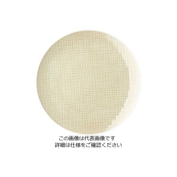 ローゼンタール RT メッシュ ラウンドプレート27cmフラット 10867 1枚 62-6827-56（直送品）