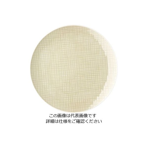 ローゼンタール RT メッシュ ラウンドプレート24cmフラット 10864 1枚 62-6827-57（直送品）