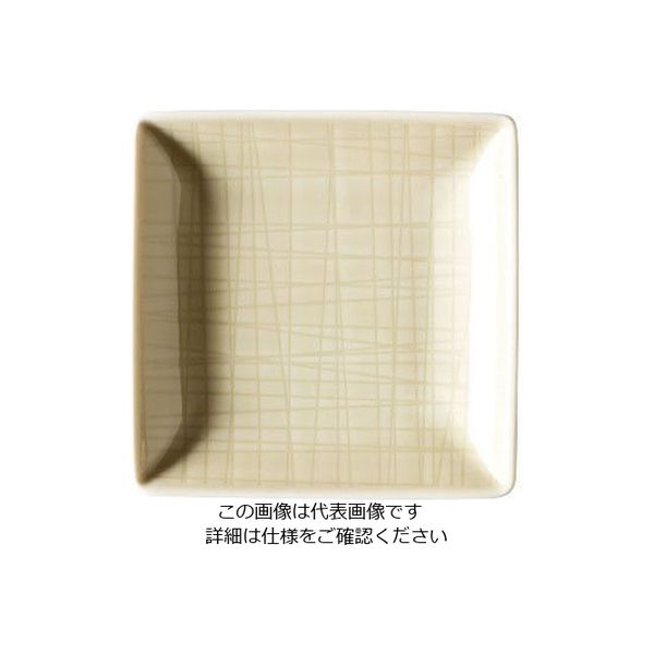 ローゼンタール RT メッシュ スクエアプレート10cm 15288 1枚 62-6827-62（直送品）