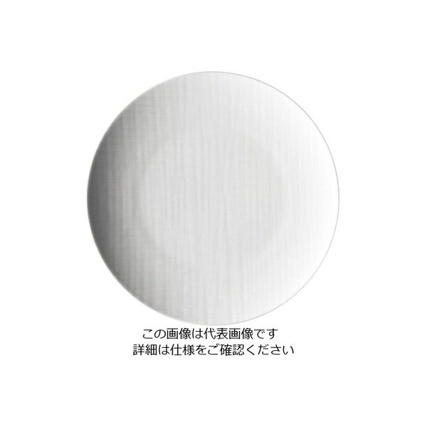 ローゼンタール RT メッシュ ラウンドプレート27cmフラット 10867 1枚 62-6827-76（直送品）