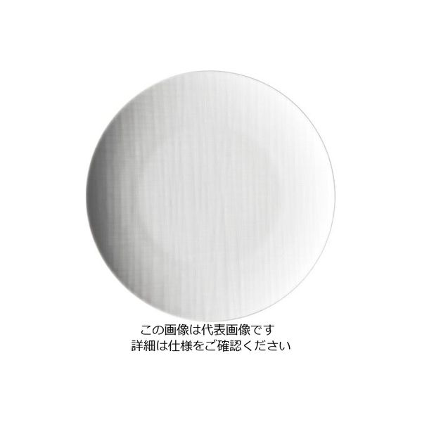ローゼンタール RT メッシュ ラウンドプレート24cmフラット 10864 1枚 62-6827-77（直送品）