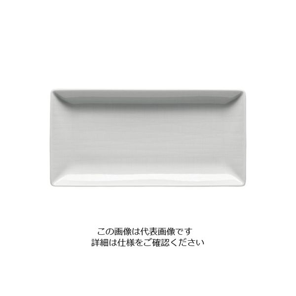 ローゼンタール RT メッシュ レクタングルプレート20cm 15287 1枚 62-6827-82（直送品）