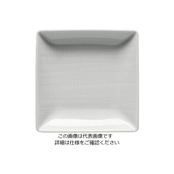 ローゼンタール RT メッシュ スクエアプレート 10cm 15288 1枚 62-6827-83（直送品）