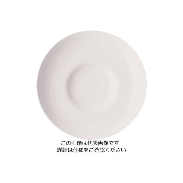 ローゼンタール RT ニド グルメプレート28cm 10920-31528 1個 62-6828-52（直送品）