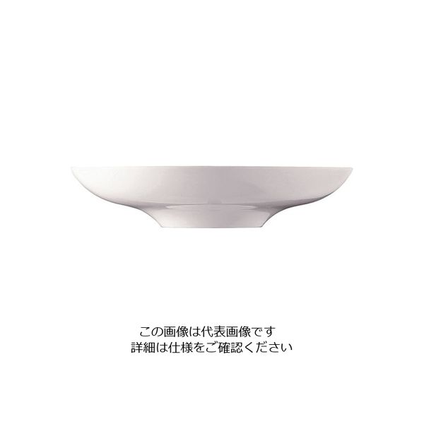 ローゼンタール RT ニド グルメプレート22cm 10920-31522 1個 62-6828-53（直送品）