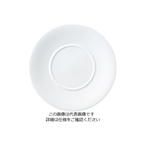 ミヤザキ食器 エチュード ワイドリムプレート 30cm ET3011 1枚 62-6831-54（直送品）