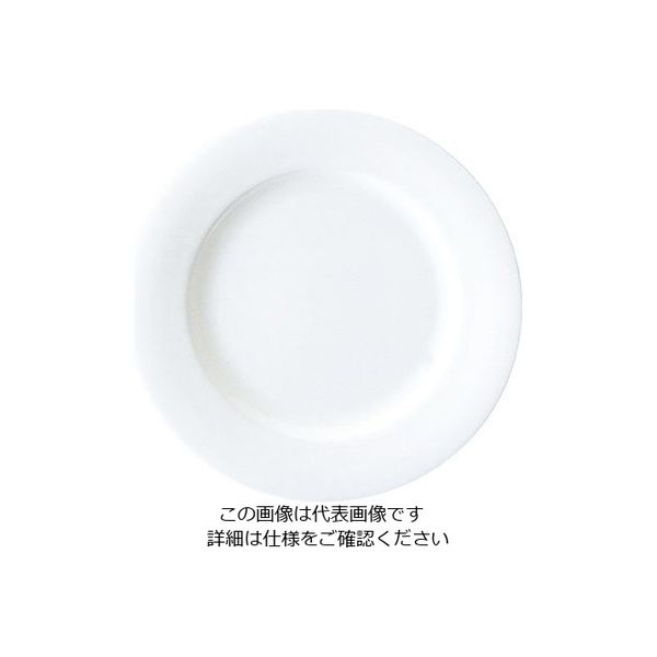 ミヤザキ食器 エチュード リムプレート 30cm ET3001 1枚 62-6831-60（直送品）