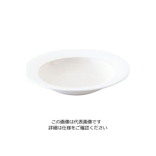 ミヤザキ食器 エチュード リムクーププレート 24cm ET2402 1枚 62-6831-62（直送品）