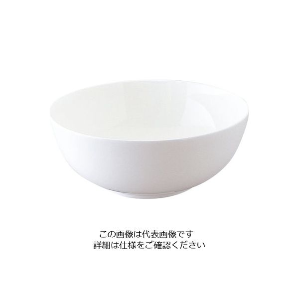 ミヤザキ食器 エチュード ボール 20cm ET2003 1個 62-6831-66（直送品）