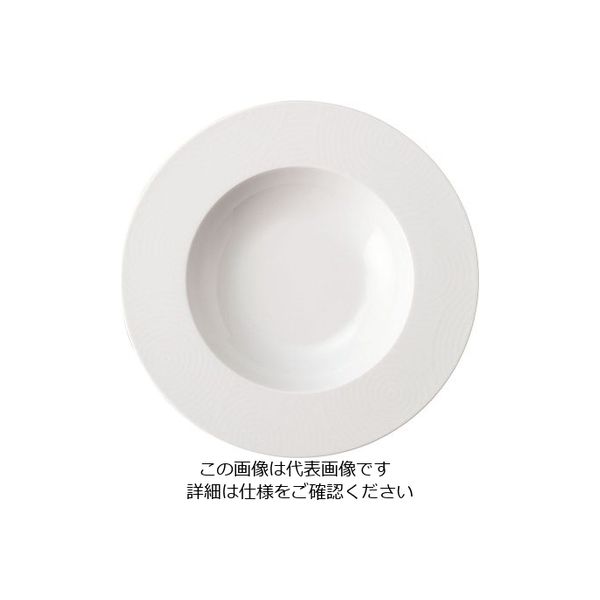 ミヤザキ食器 エコス スーププレート 25cm CV2502 1枚 62-6831-82（直送品）