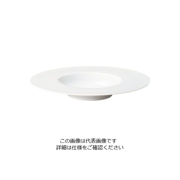ミヤザキ食器 エコス グルメプレート 29cm CV2912 1枚 62-6831-85（直送品）