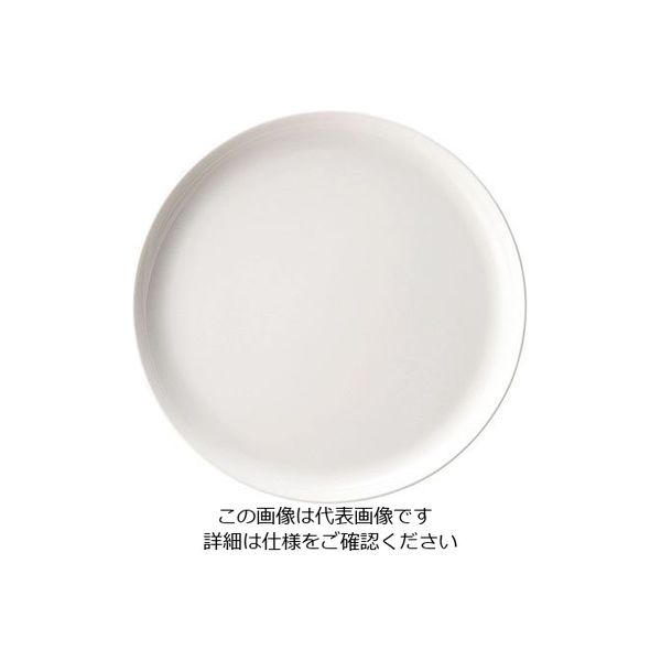 ミヤザキ食器 ボーンチャイナ ラウンドプレート 24cm BN2421 1枚 62-6831-98（直送品）