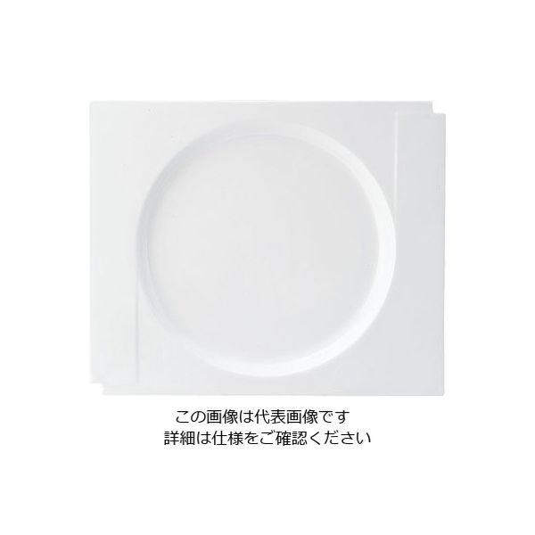 ミヤザキ食器 マグネシア マニカ スクエアリムプレート 29cm MG2911 1枚 62-6832-19（直送品）