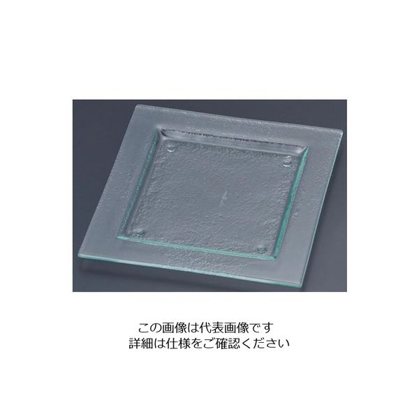遠藤商事 タイガーグラス スクエアプレート 240 クリア 162-192-00 1枚 62-6835-59（直送品）