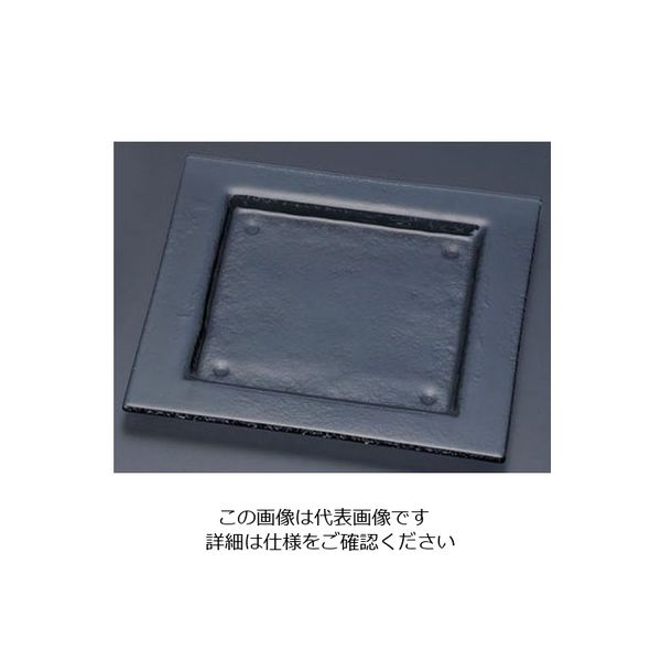 遠藤商事 タイガーグラス スクエアプレート 240 グレー 162-192-00 1枚 62-6835-60（直送品）