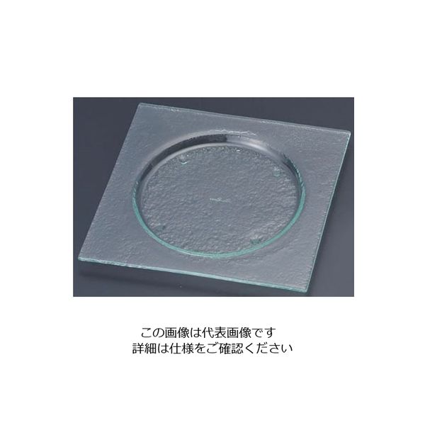 遠藤商事 タイガーグラス スクエアプレート 245 クリア 162-192-12 1枚 62-6835-67（直送品）