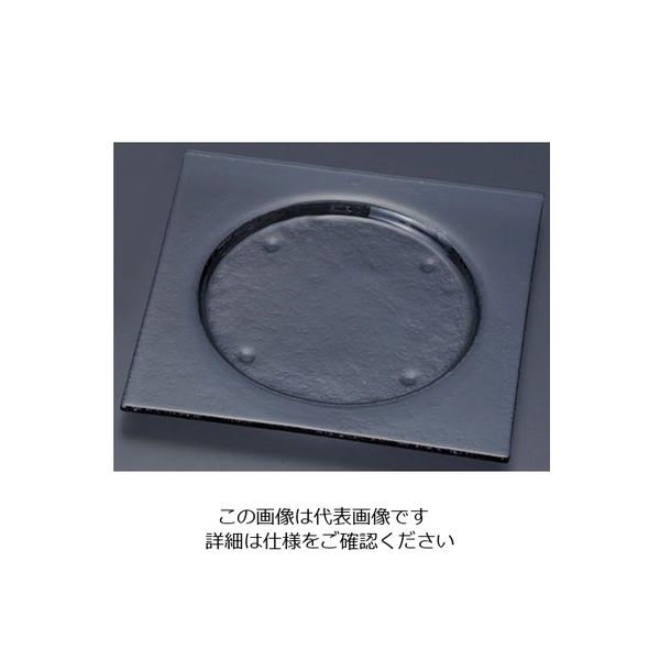 遠藤商事 タイガーグラス スクエアプレート 245 グレー 162-192-12 1枚 62-6835-68（直送品）
