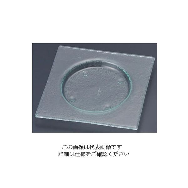 遠藤商事 タイガーグラス スクエアプレート 203 クリア 163-192-03 1枚 62-6835-69（直送品）