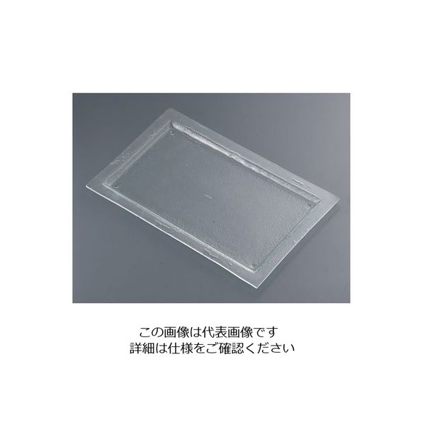 遠藤商事 タイガーグラス レクタンギュラープレート 061ー192ー11 クリア 62-6835-71 1枚（直送品）