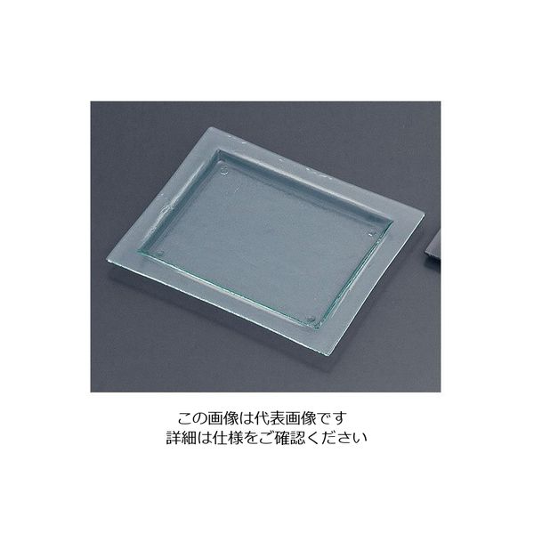 遠藤商事 タイガーグラス レクタンギュラープレート 061ー192ー12 クリア 62-6835-73 1枚（直送品）