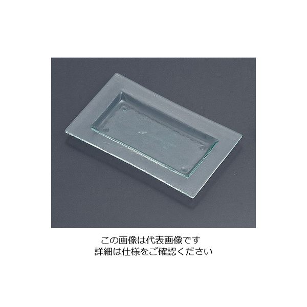遠藤商事 タイガーグラス レクタンギュラートレー クリア 061-192-13 1個 62-6835-77（直送品）