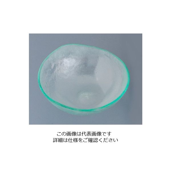 遠藤商事 タイガーグラス ラウンドボウル 255 クリア 022-032-00 1個 62-6835-93（直送品）