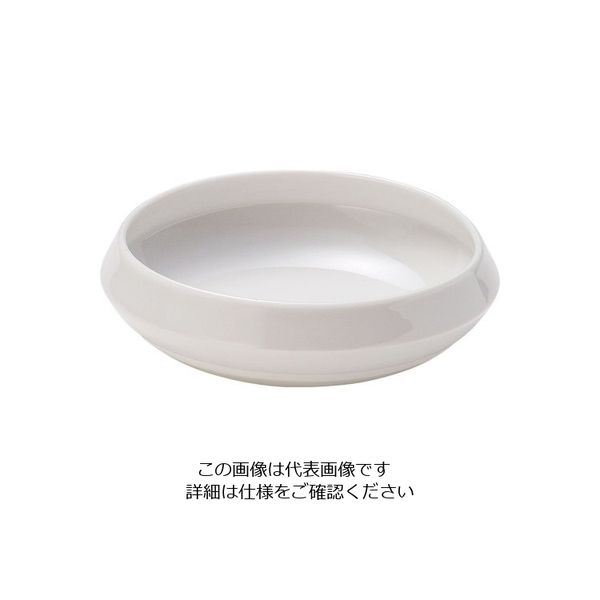 ミヤザキ食器 ごはんプレート プレーンホワイト GP1601PW 62-6839-95 1枚（直送品）